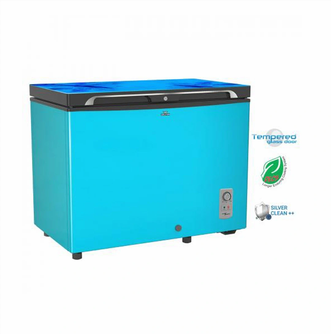 WCG-2E5-GDEL-XX (Inverter) || 255 Liters